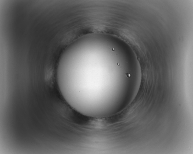 X0000089660079200707051538