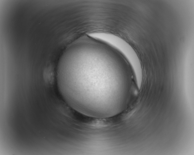 X0000089660080200707051538