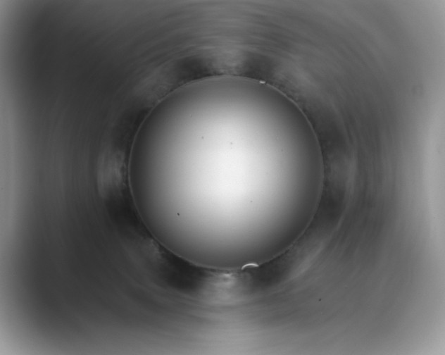 X0000089660083200707051538