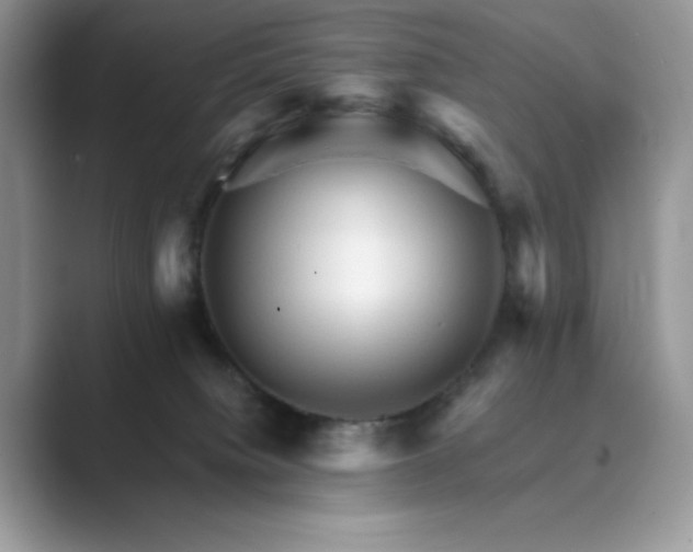 X0000089660084200707051538