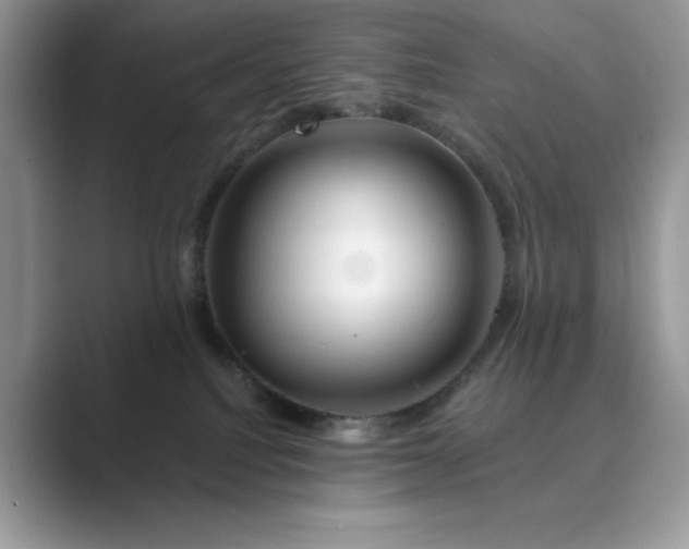 X0000089660088200707051538