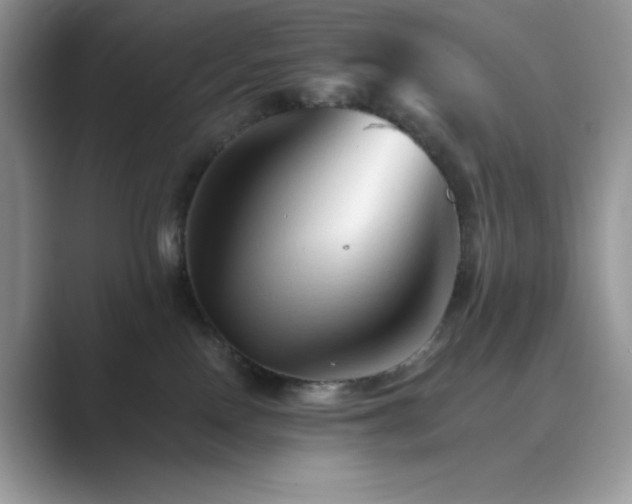 X0000089660090200707051538