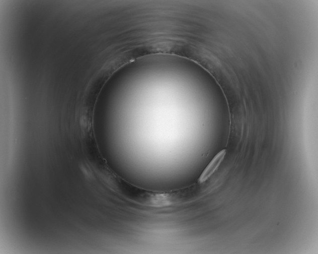 X0000089660091200707051538