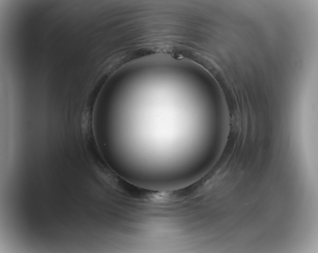 X0000089660092200707051538