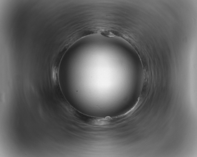 X0000089660094200707051538