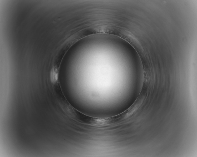 X0000089660095200707051538