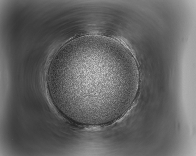 X0000089660097200707051537