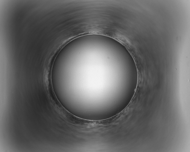 X0000089660098200707051537