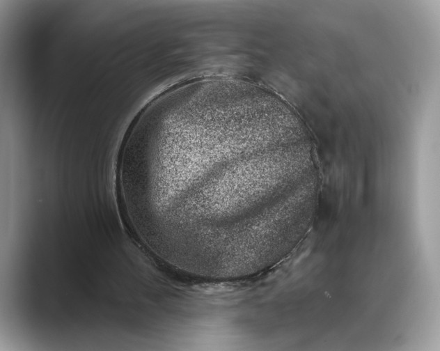 X0000089660100200707051537