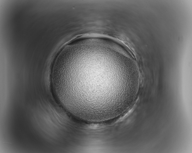 X0000089660101200707051537