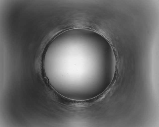 X0000089660103200707051537