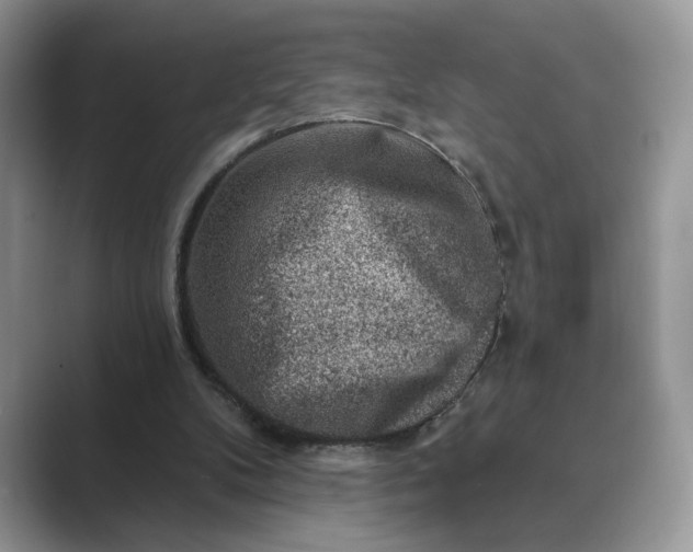 X0000089660104200707051537