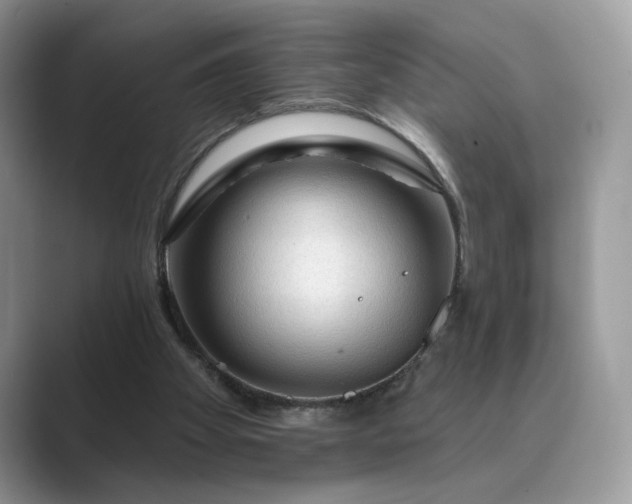 X0000089660105200707051537