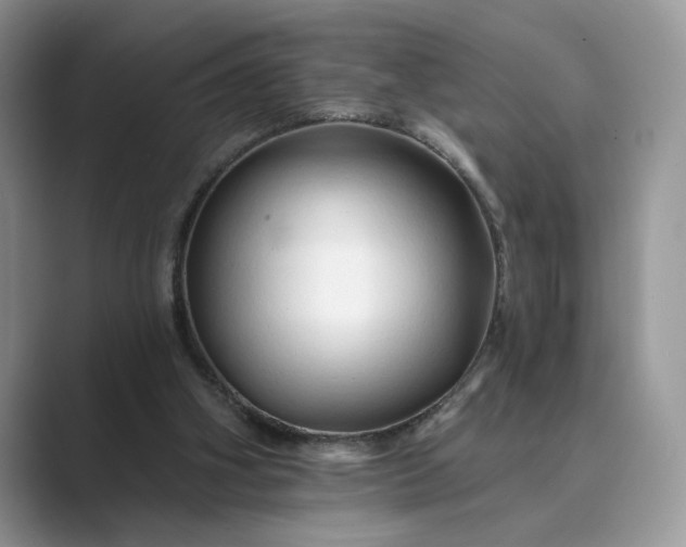 X0000089660106200707051537