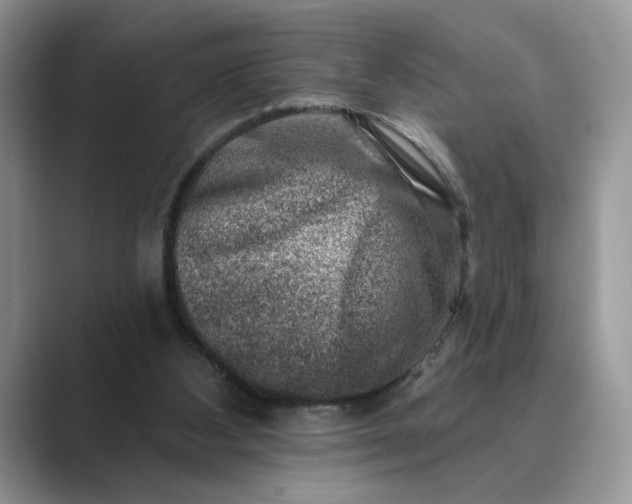 X0000089660108200707051537