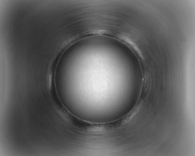 X0000089660110200707051537