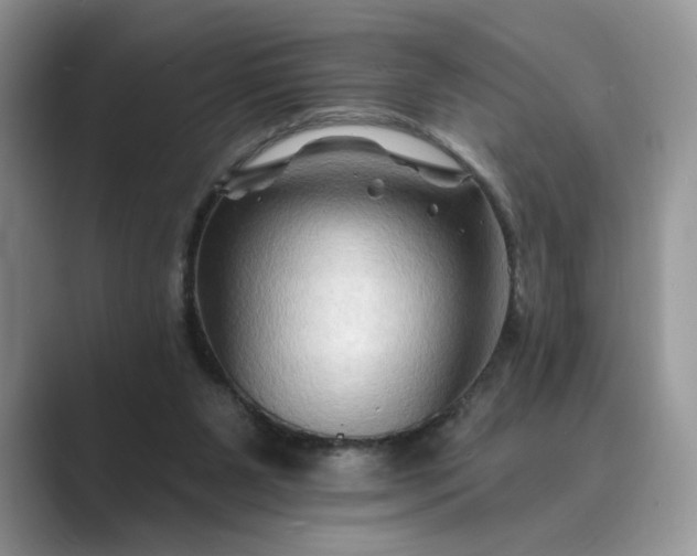 X0000089660111200707051537