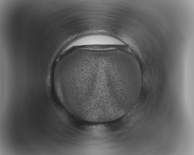 X0000089660112200707051537