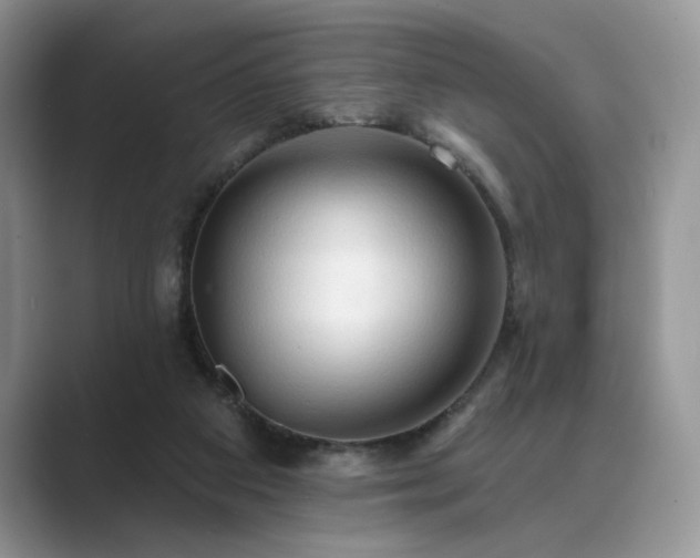 X0000089660113200707051537