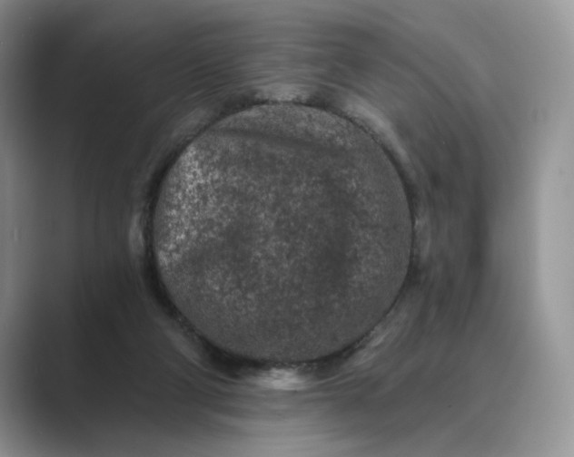 X0000089660114200707051537