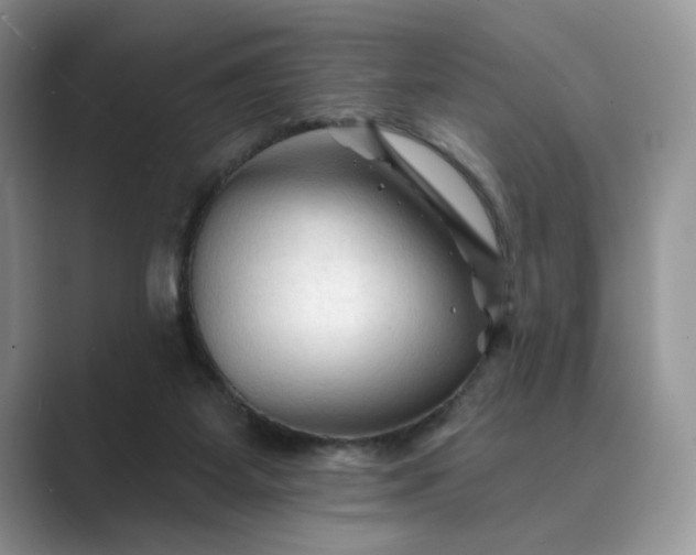 X0000089660115200707051537