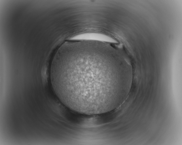 X0000089660116200707051537