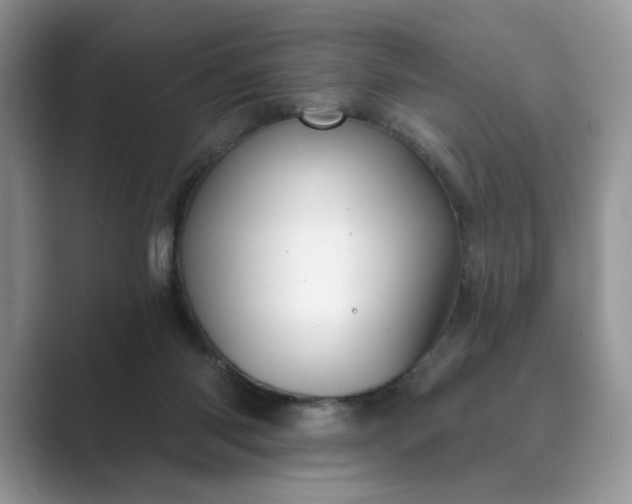 X0000089660118200707051537