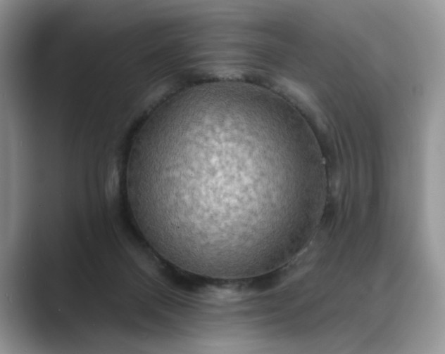 X0000089660120200707051537