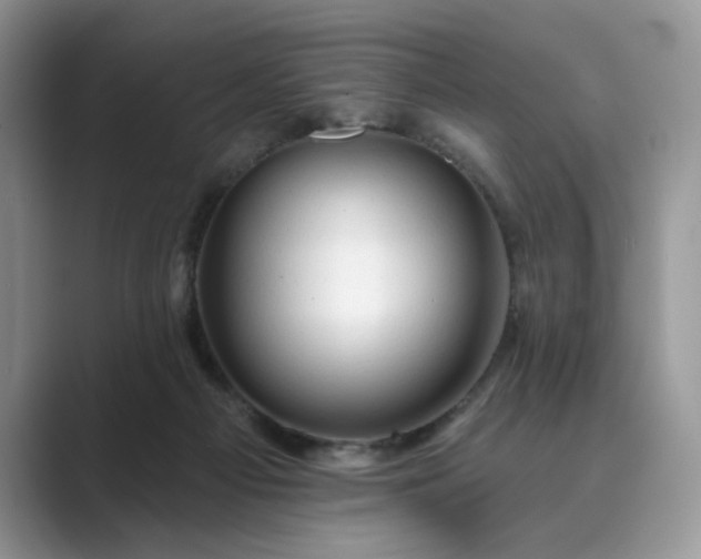 X0000089660121200707051537