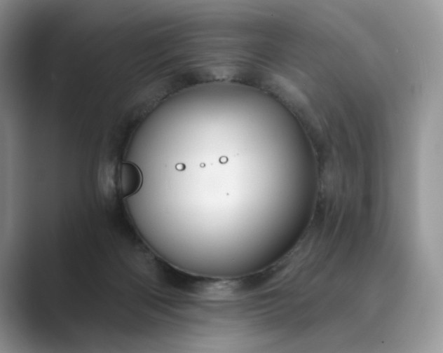 X0000089660122200707051537