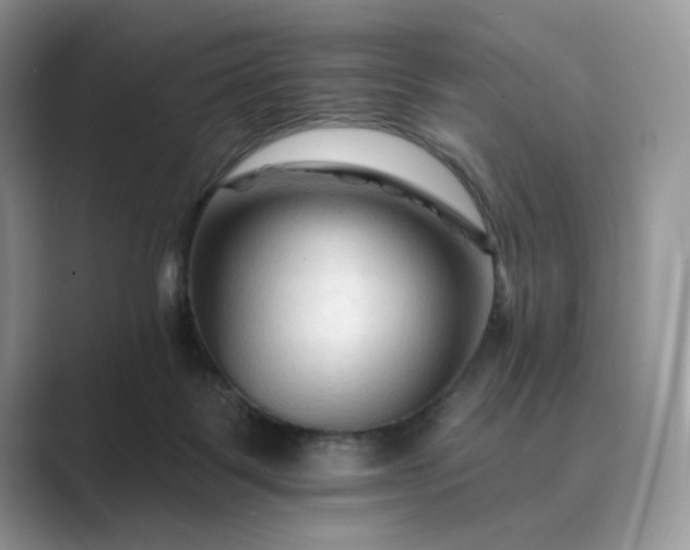 X0000089660123200707051537