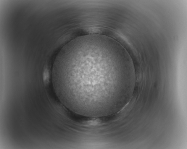 X0000089660124200707051537