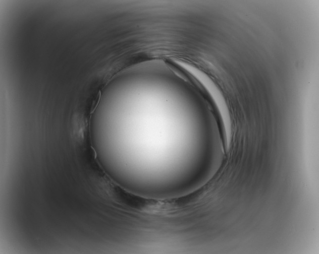 X0000089660125200707051537