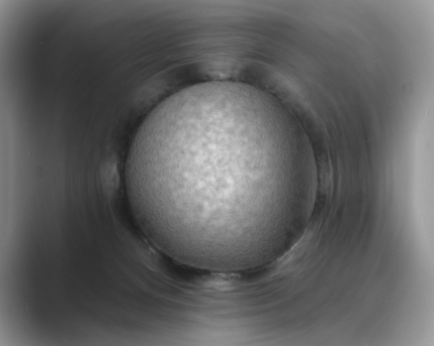 X0000089660128200707051537