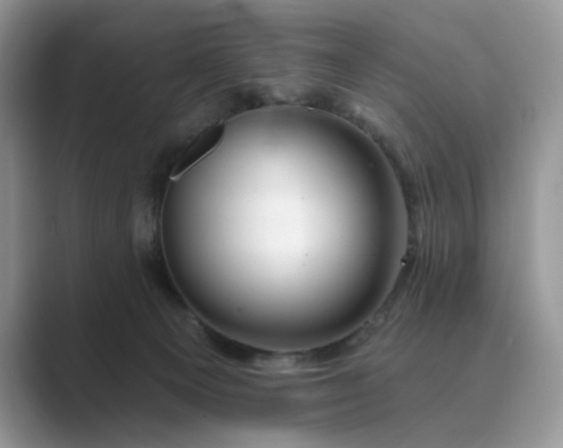 X0000089660129200707051537