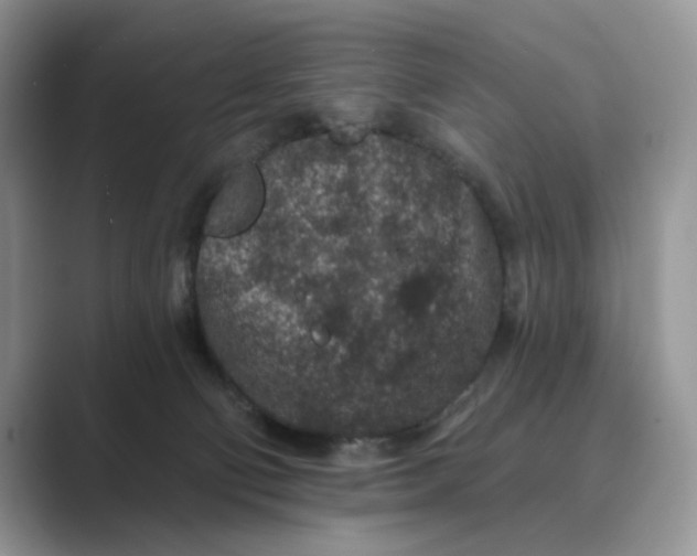 X0000089660130200707051537