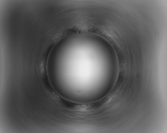 X0000089660131200707051537