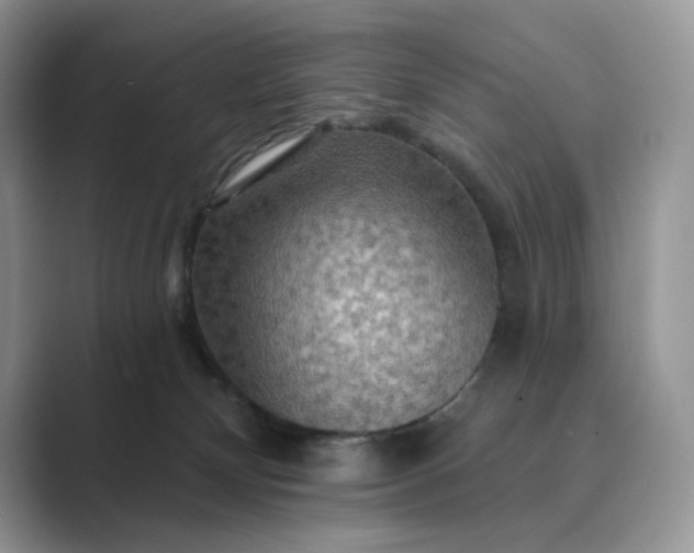 X0000089660132200707051537