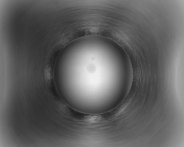 X0000089660135200707051537