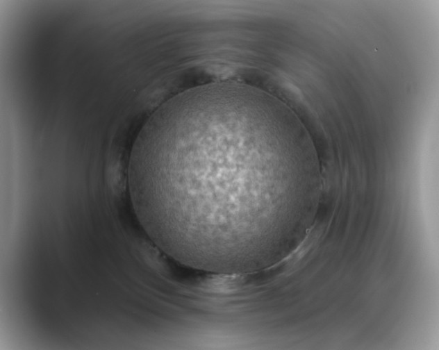 X0000089660136200707051537