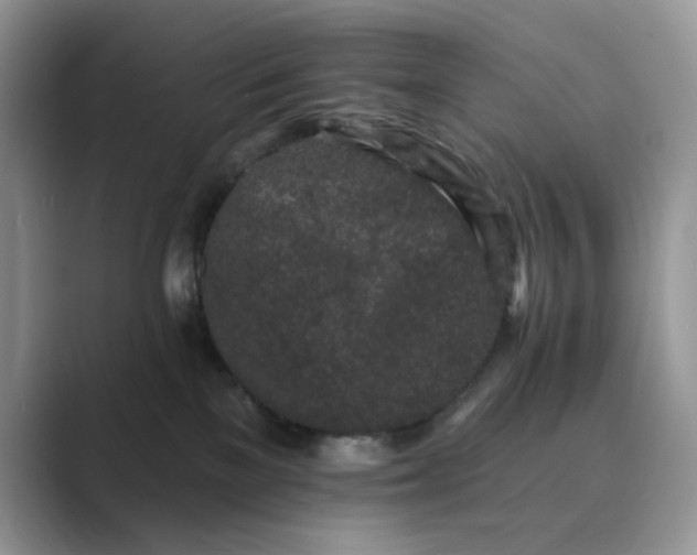 X0000089660137200707051537