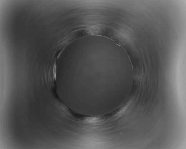 X0000089660139200707051537