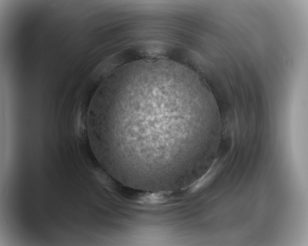 X0000089660140200707051537