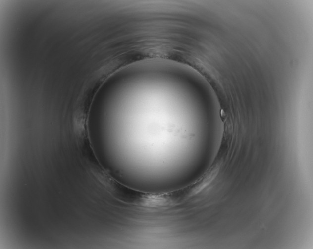 X0000089660141200707051537