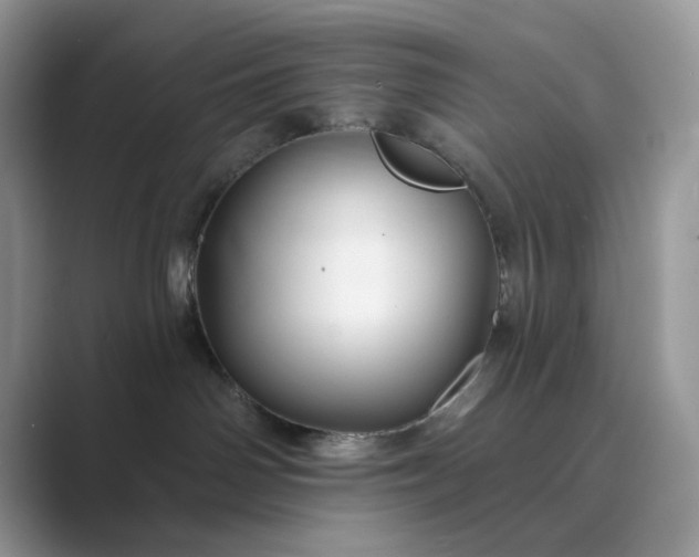 X0000089660142200707051537