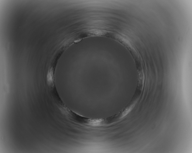 X0000089660143200707051537