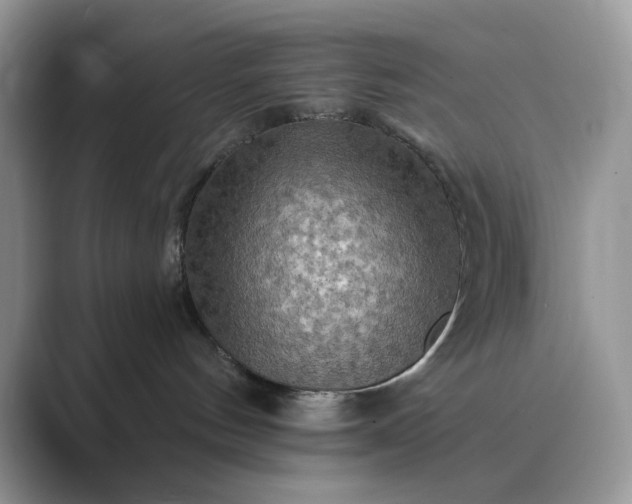 X0000089660144200707051537