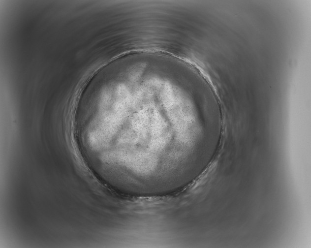 X0000089660145200707051536