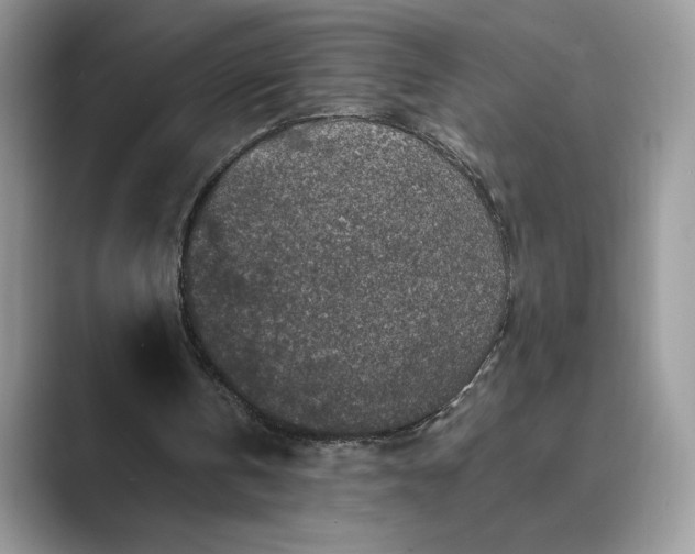 X0000089660146200707051536