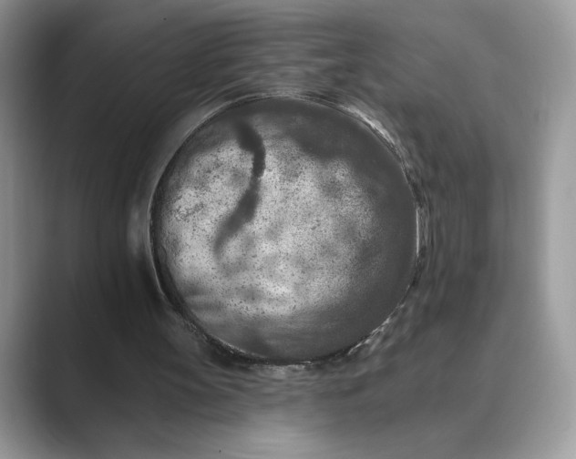 X0000089660147200707051536